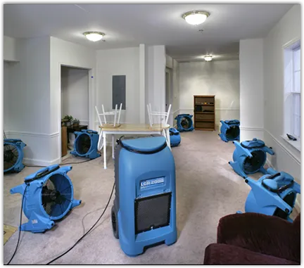 Water Damage Restoration services in Oneonta, AL