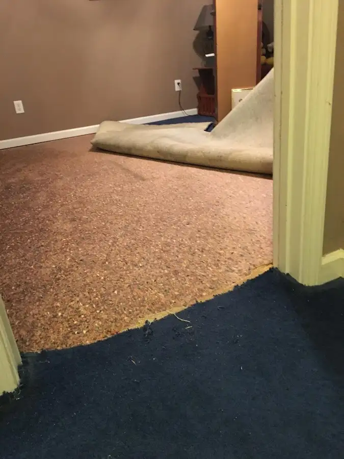 Carpet pad removal revealing water damage during Water Mitigation Services in Oneonta