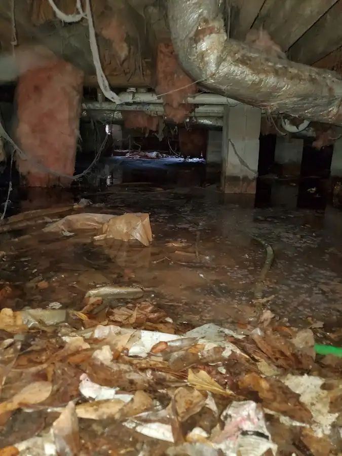 Crawl space flood assessment for Leak Detection & Repair in Oneonta