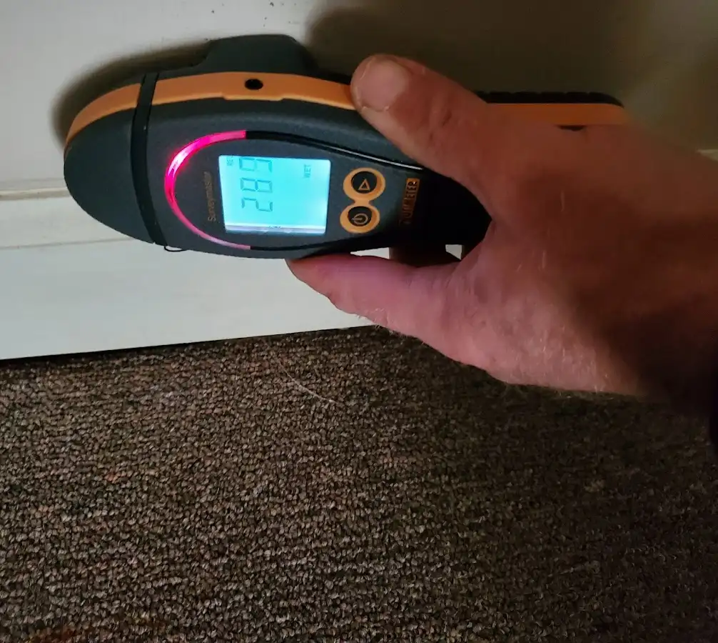 Moisture detection at baseboard during Sewage Cleanup & Sanitation in Oneonta